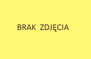 ZOSTAŁO JUŻ OSTATNIE ! PRZEKONAJ SIĘ, ŻE WARTO JE KUPIĆ !